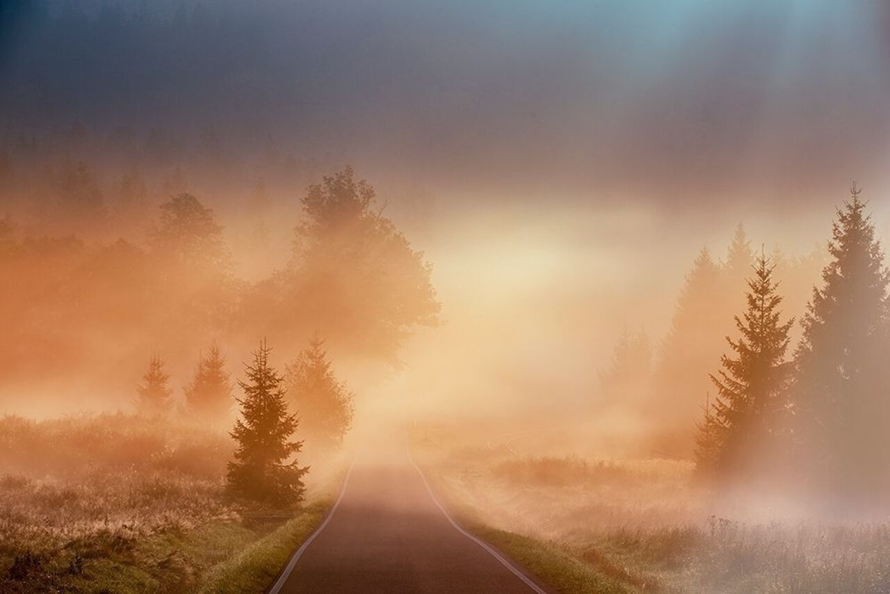 Motl - Magical morning Poster Print by 1x - Item # VARPDXXI247A